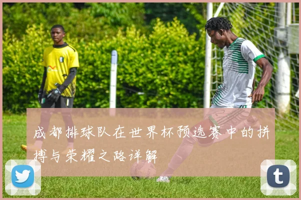 成都排球队在世界杯预选赛中的拼搏与荣耀之路详解